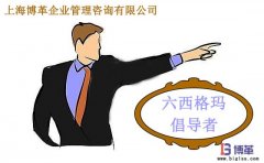 六西格瑪管理中倡導(dǎo)者的職責(zé)是什么？
